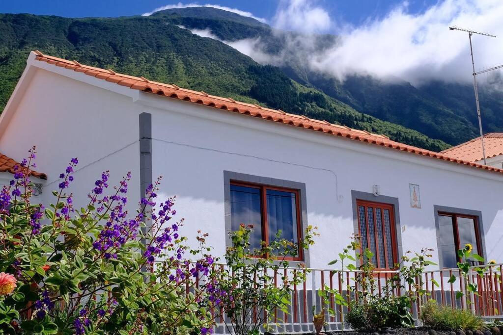 Sunflower Guest House - Madalena - Pico Sao Caetano  Exteriör bild