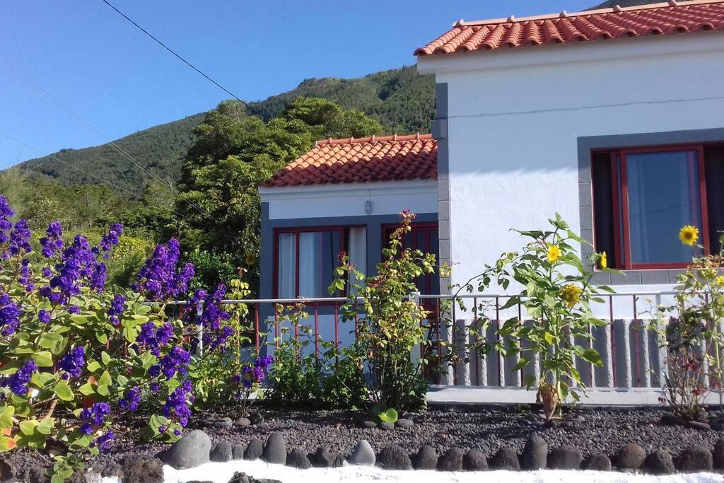 Sunflower Guest House - Madalena - Pico Sao Caetano  Exteriör bild