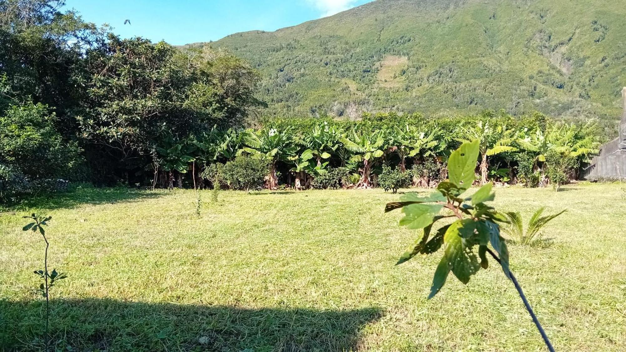 Sunflower Guest House - Madalena - Pico Sao Caetano  Exteriör bild